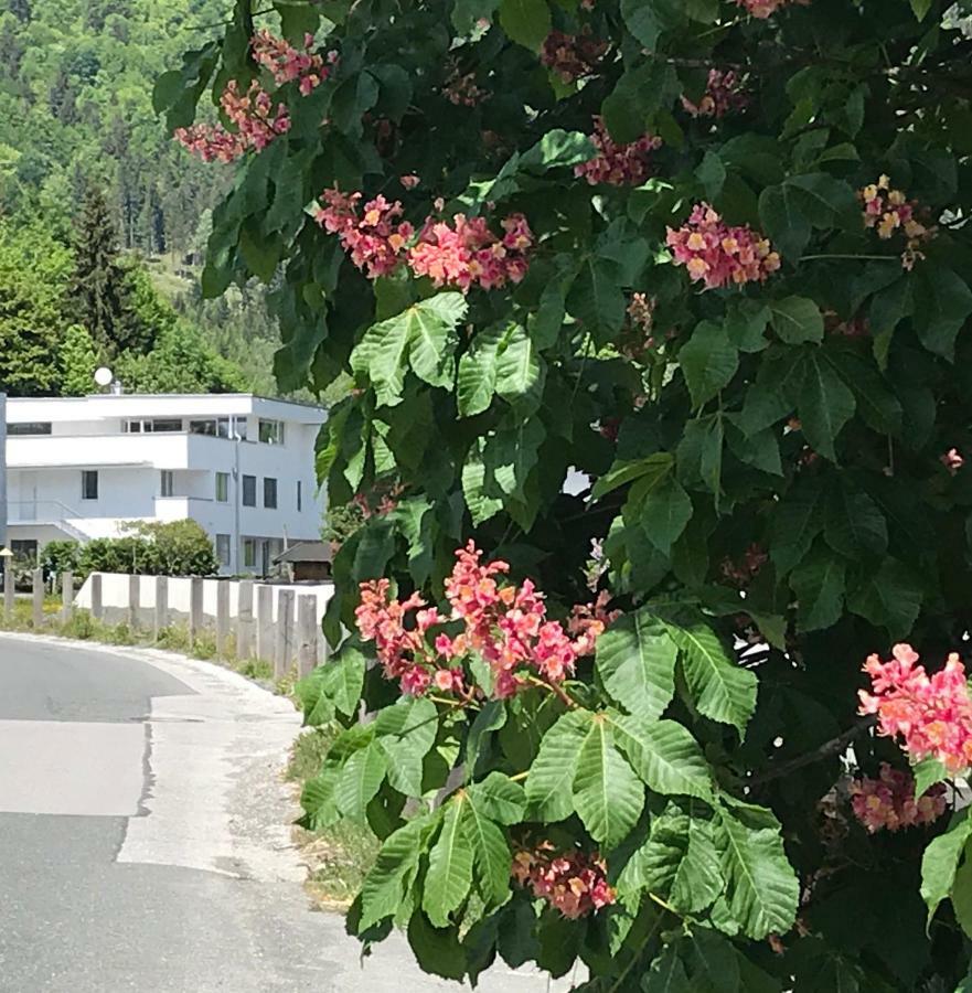 Quartier39 Lägenhet Sankt Johann in Tirol Exteriör bild